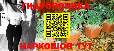 бошки Гагарин