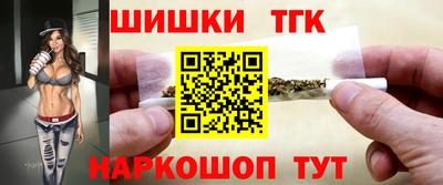бошки Гагарин