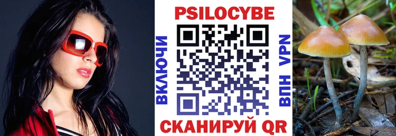 Галлюциногенные грибы ЛСД  Междуреченск 