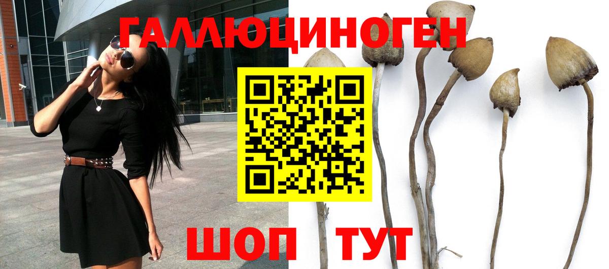 Галлюциногенные грибы мицелий Междуреченск